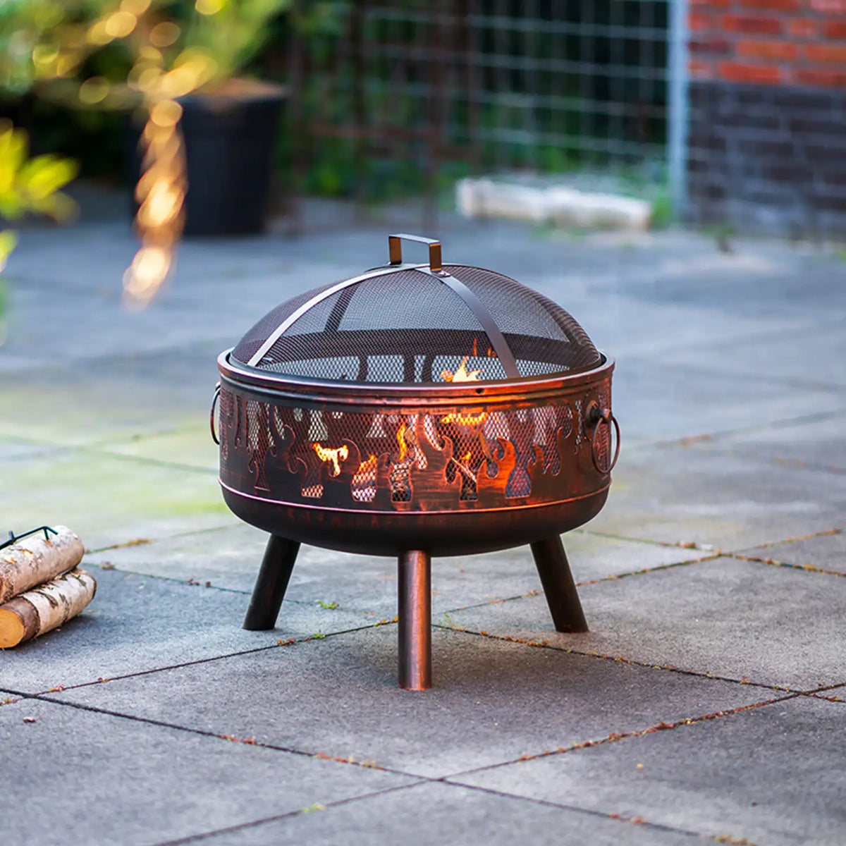 Firepit with Grill and Mesh