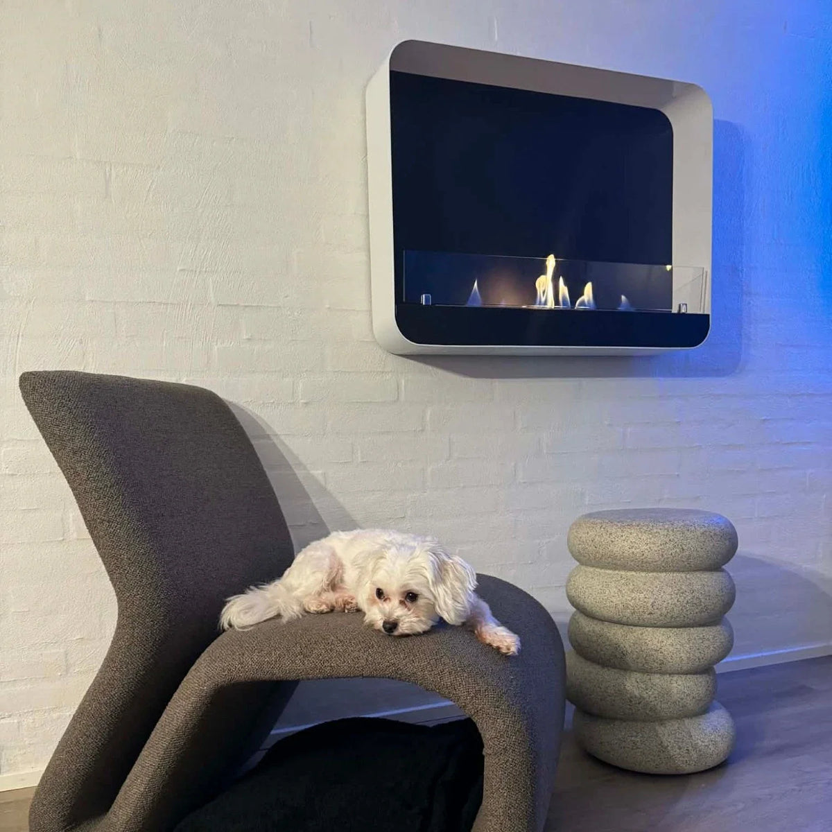 Ohio 80 White bio fireplace mounted on a white brick wall in a real customer's home, with a small dog resting on a grey armchair